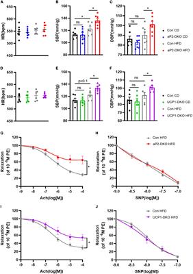 Bone morphogenetic protein 4 in perivascular adipose tissue ameliorates hypertension through regulation of angiotensinogen